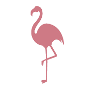 Flamingo_1