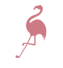 Flamingo_3