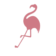 Flamingo_3