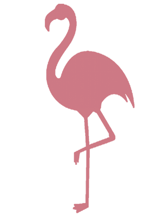 Flamingo_Dies&Das